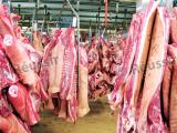 Porcs et bovins: retour de la hausse des abattages en août