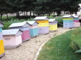 Toutes les ruches doivent être déclarées