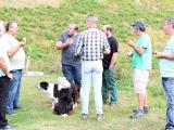 Les bergers remontent au créneau contre la réintroduction d’ours en Béarn