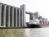 Les exportations françaises de céréales fléchissent en fin de campagne