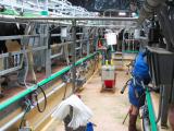 Un nouveau programme d’aide pour la modernisation des élevages est ouvert