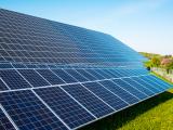 Photovoltaïque : la chambre régionale d’agriculture souhaite protéger le foncier agricole