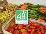 La succes story de l’agriculture bio française