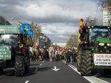 Des milliers d’agriculteurs défilent dans les rues de Madrid