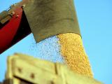 Vers une production mondiale de blé déficitaire en 2022 ?