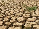 La sécheresse gagnerait-elle du terrain en France et dans le monde ?