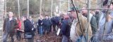 Des aides au renouvellement forestier dans les Pyrénées-Atlantiques