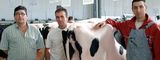 AquitanimaÂ : la fidélité des éleveurs de Prim'Holstein du Cantal
