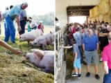 Dialogue et visites aux “Rencontres à la ferme”