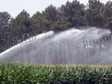 Maïs: la disparité des rendements «justifie l’irrigation»