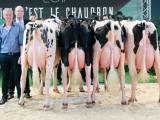 Les éleveurs basco-béarnais de Prim’Holstein brillent à Saint-Etienne