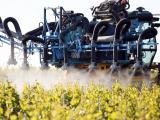 L’interdiction du glyphosate coûterait 2 milliards d’euros à l’agriculture française