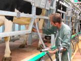 Un avenir truffé d’incertitudes pour la filière laitière française