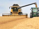 Le blé français est très compétitif sur les marchés mondiaux