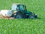 Comment gérer la fertilisation du maïs lorsque les prix des engrais s’envolent ?